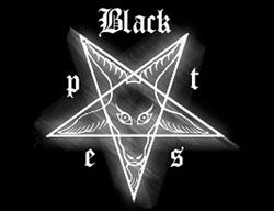 Black Pest logo